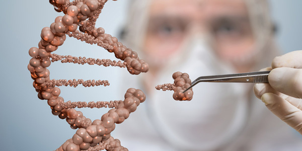 В США готовятся провести первые исследования технологии CRISPR у человека