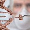В США готовятся провести первые исследования технологии CRISPR у человека