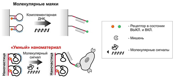 Сравнение молекулярных маяков и разработанных авторами исследования умных материалов