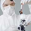 Исследование: технология CRISPR может благоприятствовать выживанию клеток с отдельными генетическими мутациями