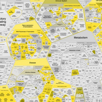 Ученые определили ключевые гены-драйверы онкологии
