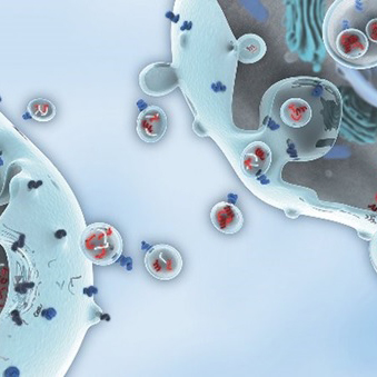 Как поймать внеклеточные везикулы: Новая технология для выделения маркеров заболеваний 