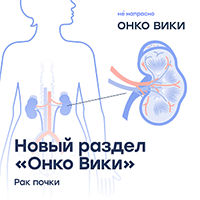 У мужчин в 1,5-2 раза чаще, чем у женщин: команда онлайн-энциклопедии «Онко Вики» выпустила новый справочник, на этот раз – о раке почки