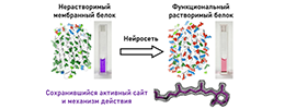 Биофизики научились изменять растворимость белков