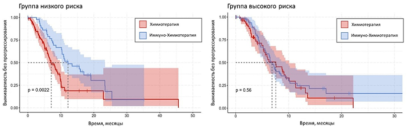 Новая модель предскажет эффективность иммунотерапии при раке легкого