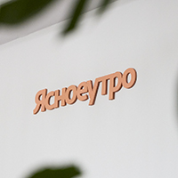 Результаты работы Всероссийской горячей линии помощи онкологическим больным и их близким в 2025 году