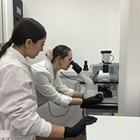 Фермент-«убийца» подавил рост клеток рака толстой кишки