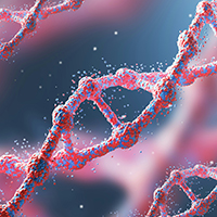 Физика полимеров показала, что петли ДНК формируются одиночными молекулярными моторами