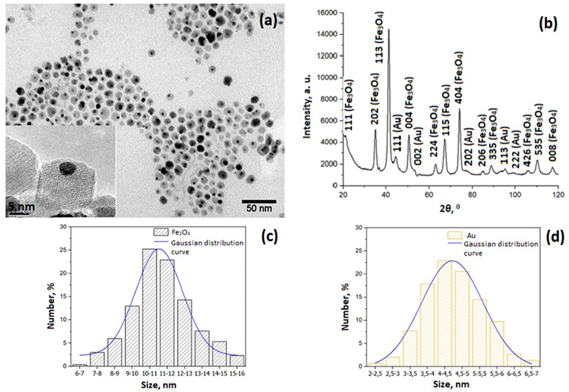 Ученые объединили в наночастицах в виде гантелей молекулы с противоположными свойствами
