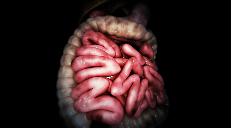 Рак кишки с метастазами операцию не принял