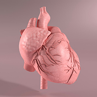 Облучение рака молочной железы и сердце