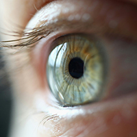 Предсказатель близости смерти онкобольного